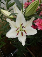 [5364 Stratford DJ No01.JPG]